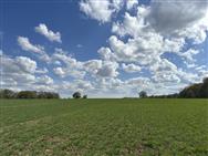 Image of property