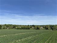 Image of property