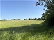 Image of property