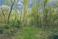 Image of property