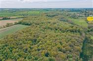 Image of property