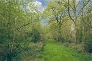 Image of property