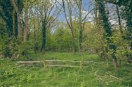 Image of property