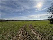 Image of property