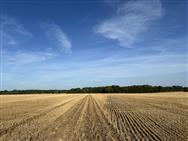 Image of property