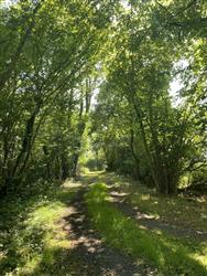 Image of property