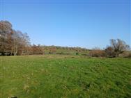 Image of property