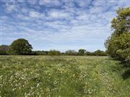 Image of property