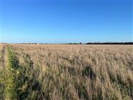 Click to view more details