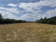 Image of property