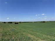 Image of property