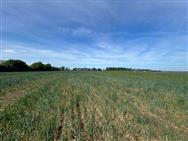 Image of property