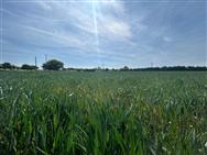 Image of property