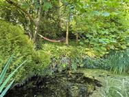 Image of property