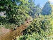 Image of property