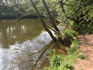 Image of property