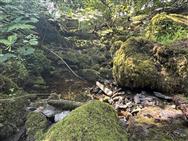 Image of property