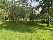 Image of property