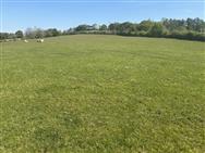 Image of property