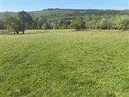 Image of property