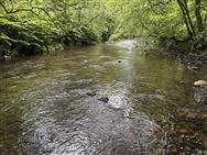 Image of property