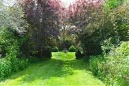 Image of property