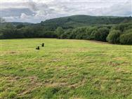 Image of property