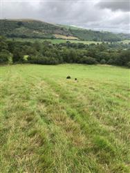 Image of property