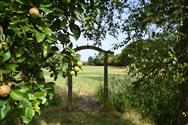 Image of property