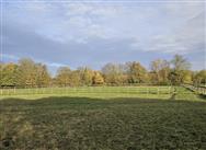 Click to view more details