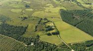 Image of property