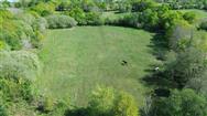 Image of property
