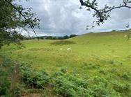 Image of property