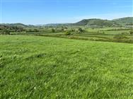 Click to view more details