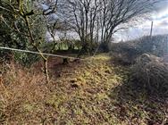 Image of property