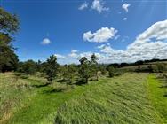 Image of property