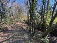 Image of property