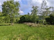Image of property