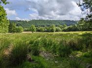 Image of property