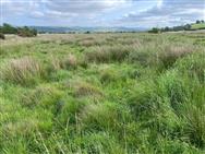 Image of property