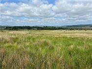 Image of property