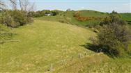 Image of property