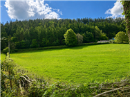 Image of property
