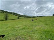 Image of property