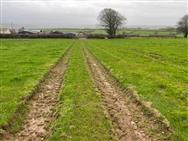 Image of property