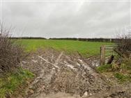Image of property