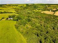 Image of property