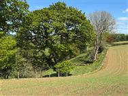 Image of property