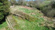 Image of property