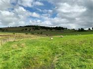 Image of property